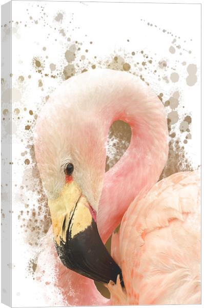 Pink Flamingo Canvas Print by Darren Wilkes