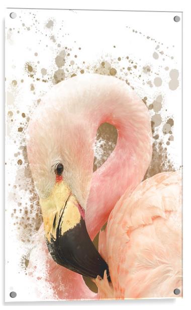 Pink Flamingo Acrylic by Darren Wilkes