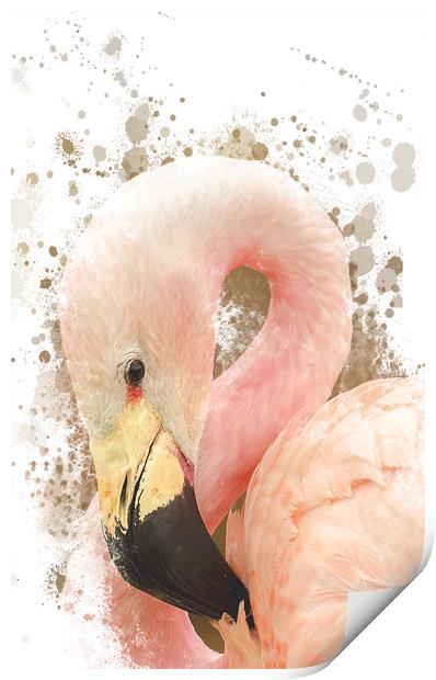 Pink Flamingo Print by Darren Wilkes