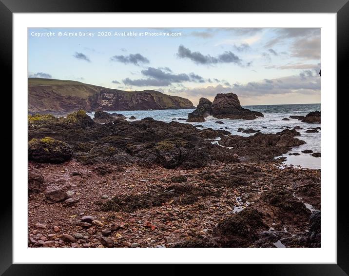 St Abbs, Eyemouth Framed Mounted Print by Aimie Burley