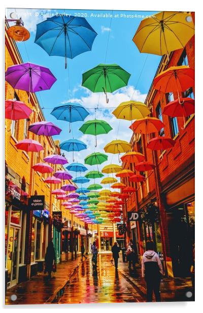 Umbrella Street Acrylic by Aimie Burley