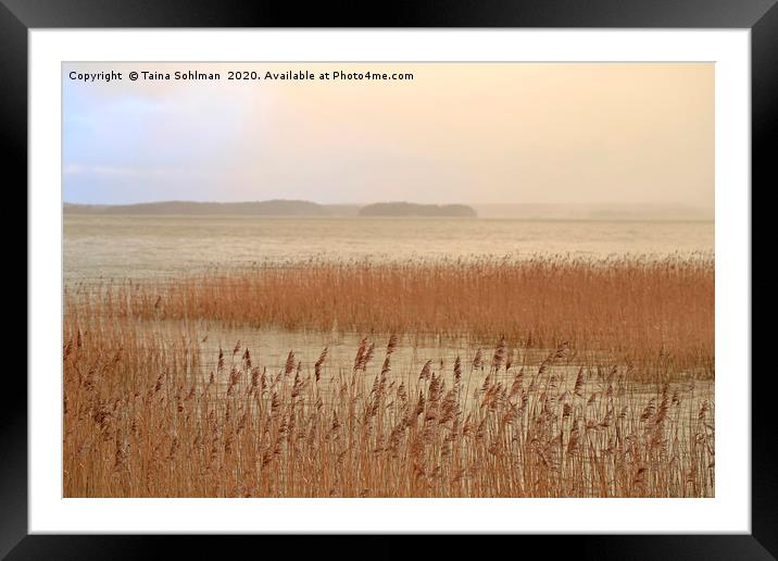 Fog over Sea in Winter  Framed Mounted Print by Taina Sohlman