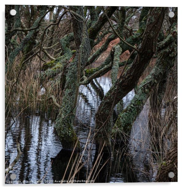 Watery Woodland Acrylic by mark Smith
