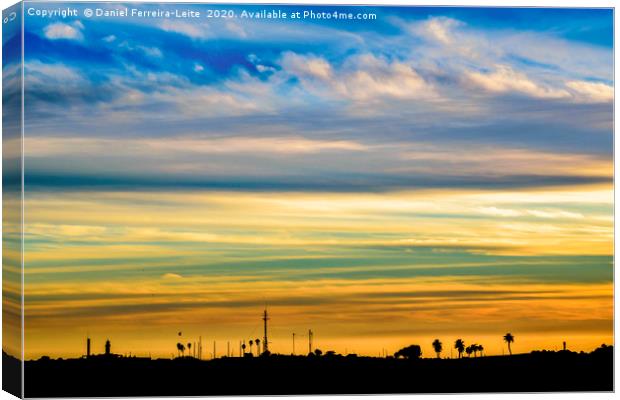 Sunset Silhouette Landscape Scene Canvas Print by Daniel Ferreira-Leite