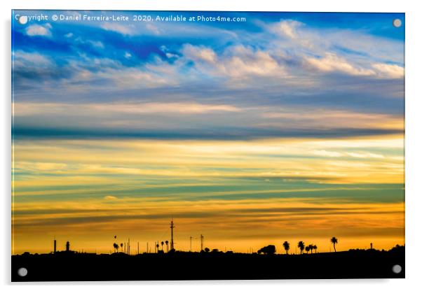 Sunset Silhouette Landscape Scene Acrylic by Daniel Ferreira-Leite