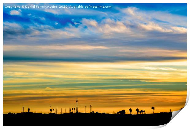 Sunset Silhouette Landscape Scene Print by Daniel Ferreira-Leite