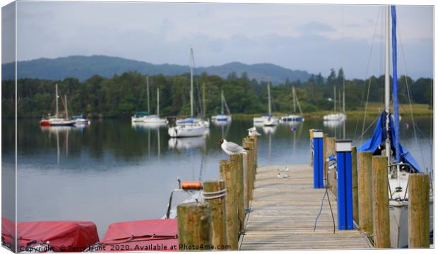 Ambleside Pier  Canvas Print by Terry Hunt