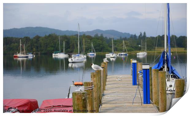 Ambleside Pier  Print by Terry Hunt