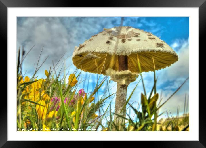 Summer's Whisper: Meadow Mushroom Framed Mounted Print by Catchavista 