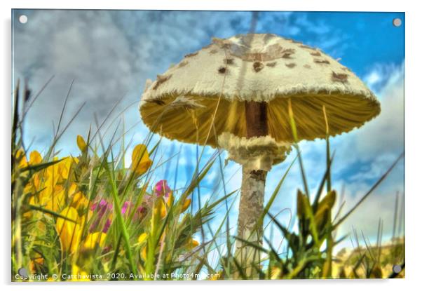 Summer's Whisper: Meadow Mushroom Acrylic by Catchavista 