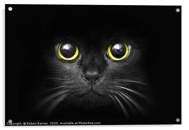 Dark Predator Acrylic by Lrd Robert Barnes