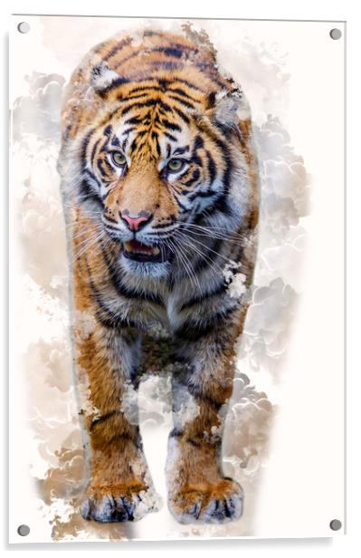 Smoking Tiger Acrylic by Darren Wilkes