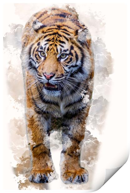 Smoking Tiger Print by Darren Wilkes