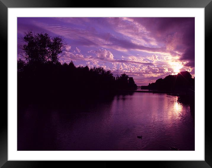Purple Sunset Framed Mounted Print by Samantha Higgs