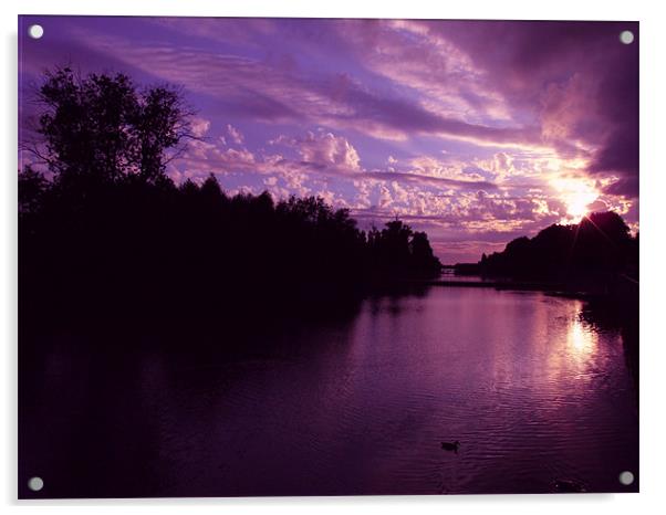 Purple Sunset Acrylic by Samantha Higgs