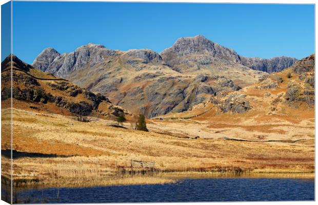 Langdale Pikes                      Canvas Print by Darren Galpin