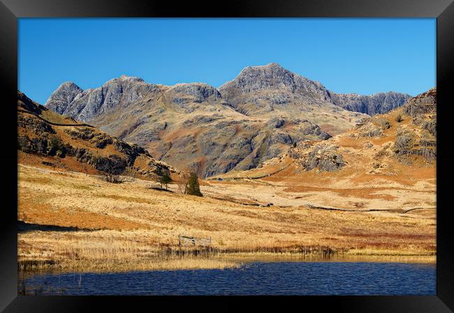 Langdale Pikes                      Framed Print by Darren Galpin