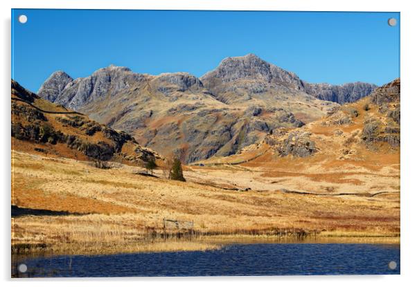 Langdale Pikes                      Acrylic by Darren Galpin