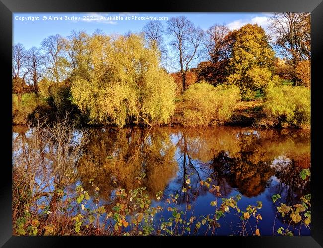 River reflections Framed Print by Aimie Burley