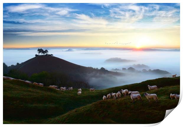 Hill with a View Print by David Neighbour