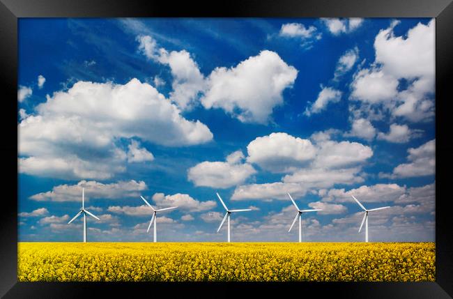 Wind turbines in a field under blue skies Framed Print by Alan Hill