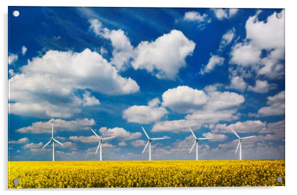 Wind turbines in a field under blue skies Acrylic by Alan Hill