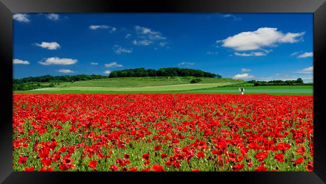 Girl in a field of red poppies at Badbury Rings Framed Print by Alan Hill