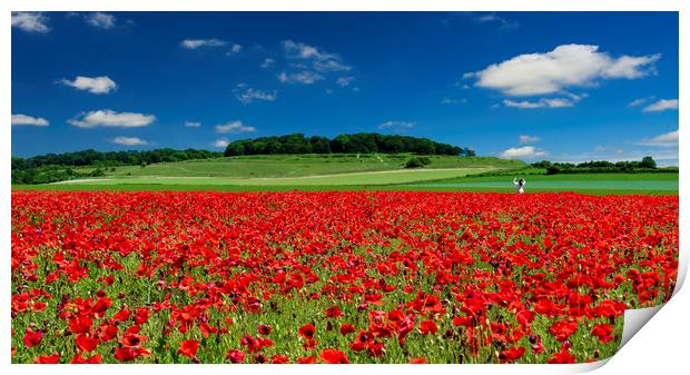 Girl in a field of red poppies at Badbury Rings Print by Alan Hill