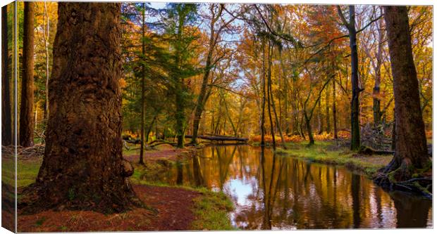 New Forest trees in autumn Canvas Print by Alan Hill