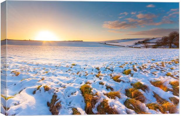 Snowy field at sunset under blue skies Canvas Print by Alan Hill