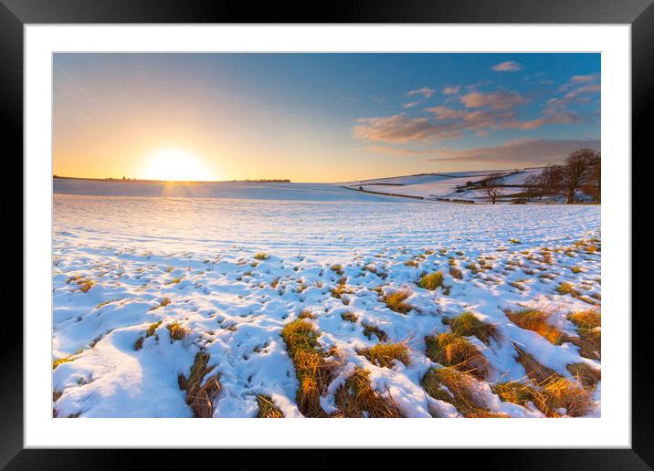 Snowy field at sunset under blue skies Framed Mounted Print by Alan Hill
