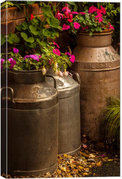 Flowers in old milk churns Canvas Print by Alan Hill