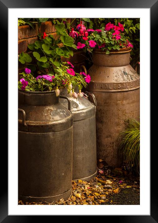 Flowers in old milk churns Framed Mounted Print by Alan Hill