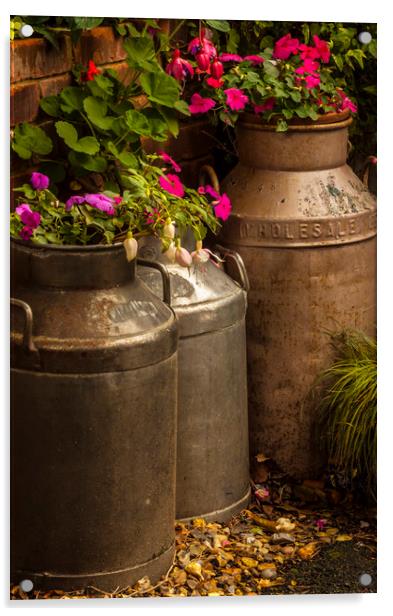 Flowers in old milk churns Acrylic by Alan Hill