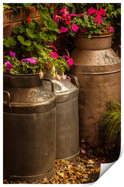 Flowers in old milk churns Print by Alan Hill