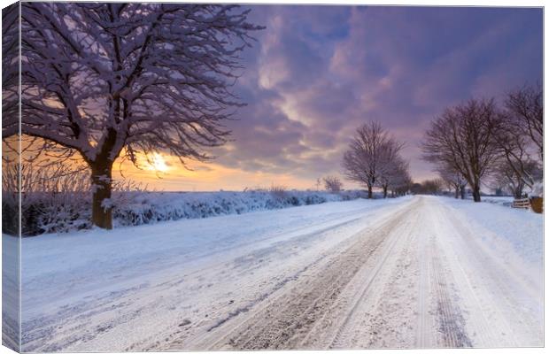 Snow covered lane in Oxfordshire Canvas Print by Alan Hill