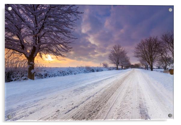 Snow covered lane in Oxfordshire Acrylic by Alan Hill
