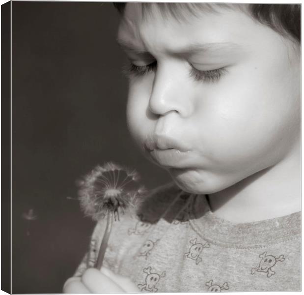  A boy blowing dandelion seeds Canvas Print by Alan Hill