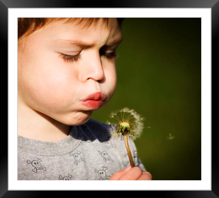  A boy blowing dandelion seeds Framed Mounted Print by Alan Hill