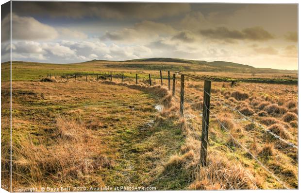 Fence Line Canvas Print by Dave Bell