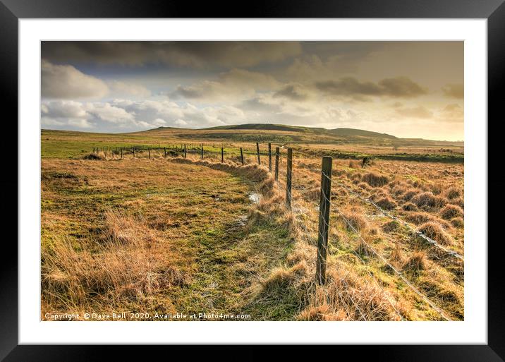 Fence Line Framed Mounted Print by Dave Bell