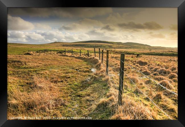 Fence Line Framed Print by Dave Bell