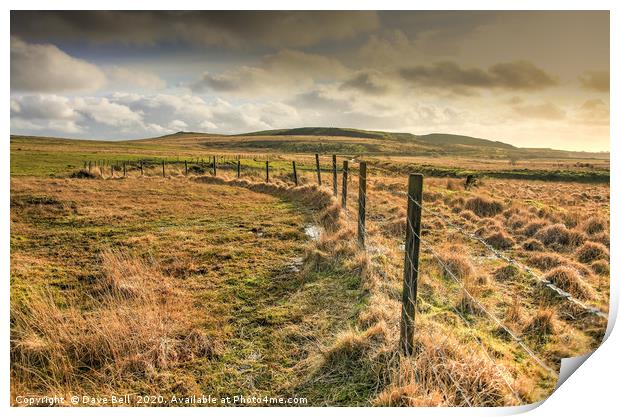 Fence Line Print by Dave Bell