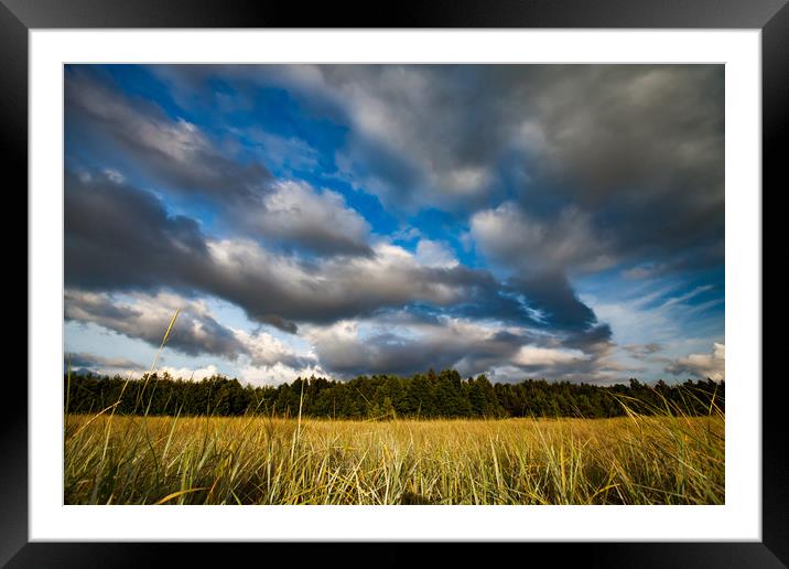 A meadow grass and sky with clouds. Framed Mounted Print by Alexey Rezvykh