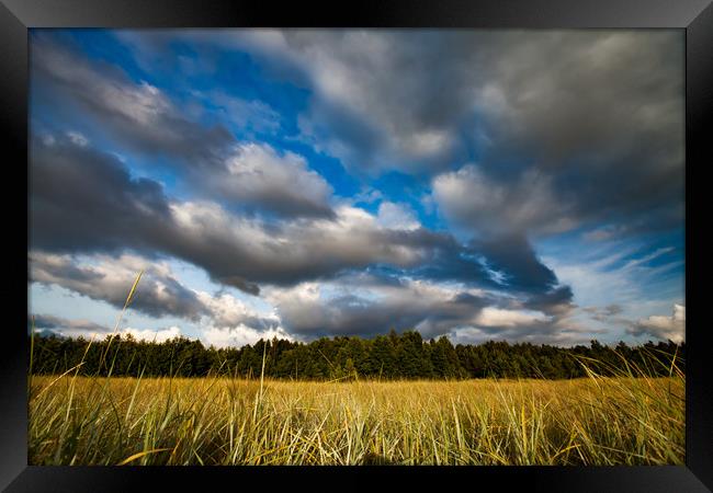 A meadow grass and sky with clouds. Framed Print by Alexey Rezvykh