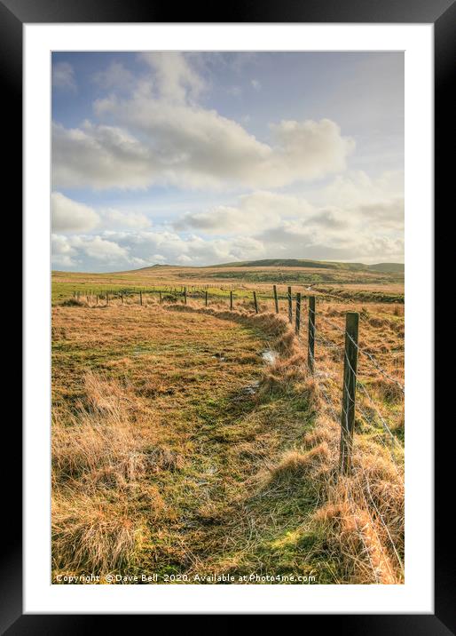 Fence Framed Mounted Print by Dave Bell