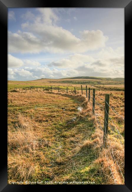Fence Framed Print by Dave Bell