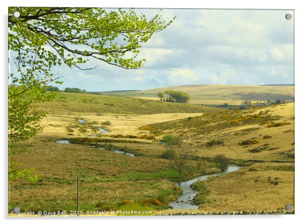 Stream Across The Moor Acrylic by Dave Bell