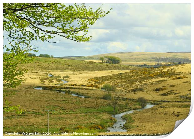 Stream Across The Moor Print by Dave Bell