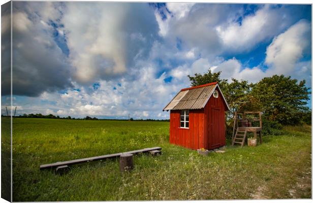 Small wooden red house in field or meadow and beau Canvas Print by Alexey Rezvykh